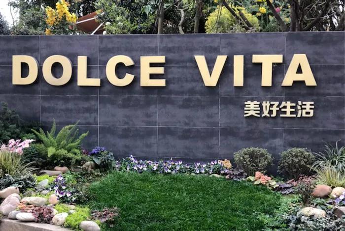 向往美好的生活，来一场狂欢的夏日盛宴~