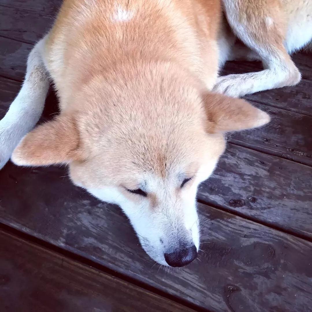 向往美好的生活，来一场狂欢的夏日盛宴~