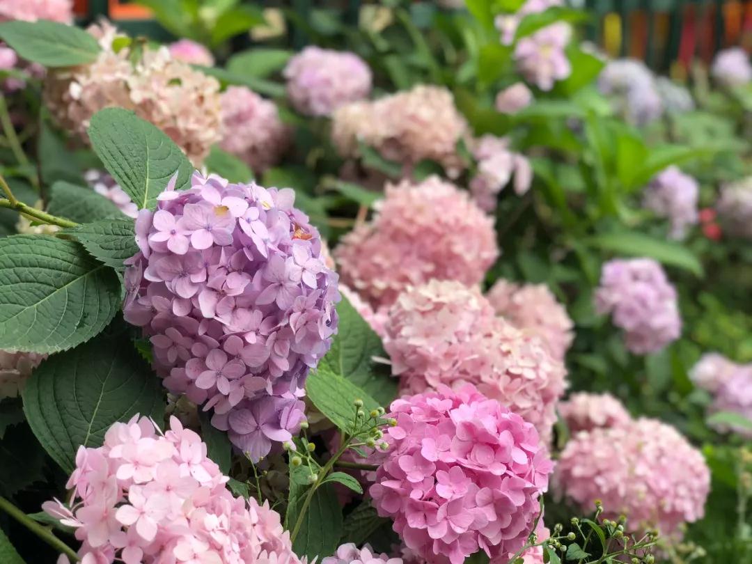 向往美好的生活，来一场狂欢的夏日盛宴~